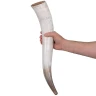 600ml Drinking Horn with Forged Iron Stand and Leather Frog