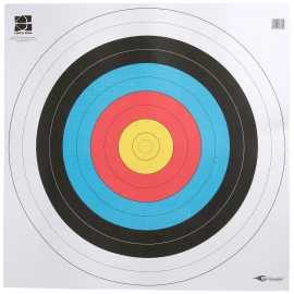 100er Pack Avalon World Archery Zielscheibenauflagen 80cm – Profi-Qualität für Dein Training