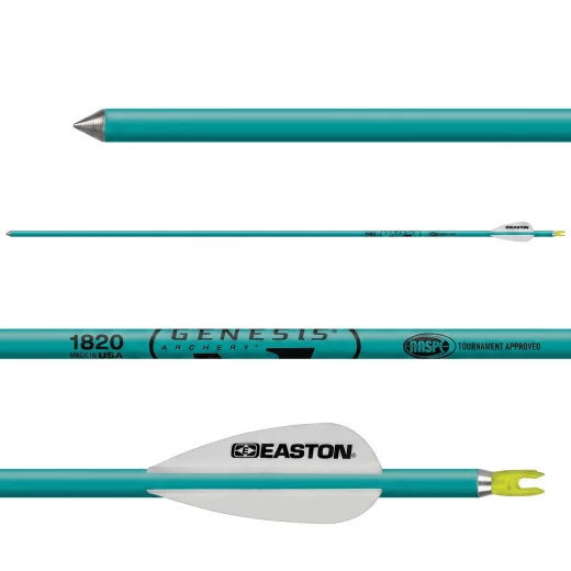 Easton Genesis NASP 1820 Aluminium 30" Arrows Teal (Set of 6)