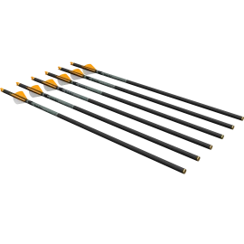 Karbonové šípy Ravin R500 Series .003 Premium – Sada 6 ks