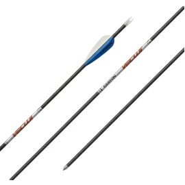 12er Set Easton Vector 4mm Carbonpfeile – Ready-to-Shoot Komplettpaket für das Bogenschießen