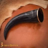 Polished Viking Drinking Horn with Brass Rim