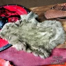 Tinted Rabbit Fur for LARP Cosplay Fantasy Costumes