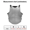 Fantasy Cuirass with divided Fron and Back Plate