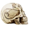 "Ouija" Spirit Board Skull, 16 cm