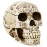 "Ouija" Spirit Board Skull, 16 cm