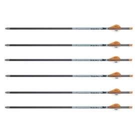 Ravin .003 Carbonpfeile für R500 Serie – 6er Pack