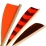 Arrow feathers and fletchings