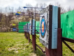 A Weapon and a Work of Art: The History and Production of Bows in the Past