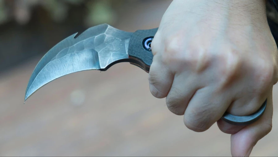 Bez kapesního nože se při pobytu v lese neobejdete
