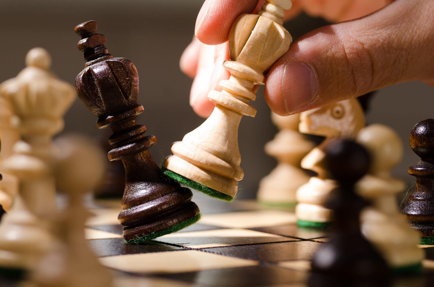 Leave nothing to chance. Get familiar with chess essentials before making your first move!