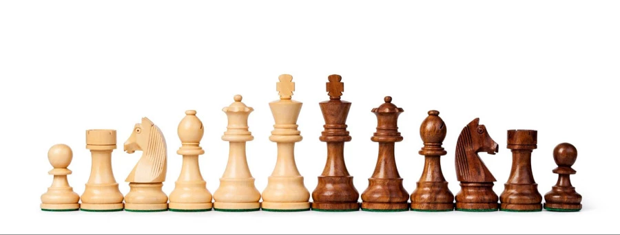 Leave nothing to chance. Get familiar with chess essentials before making your first move!