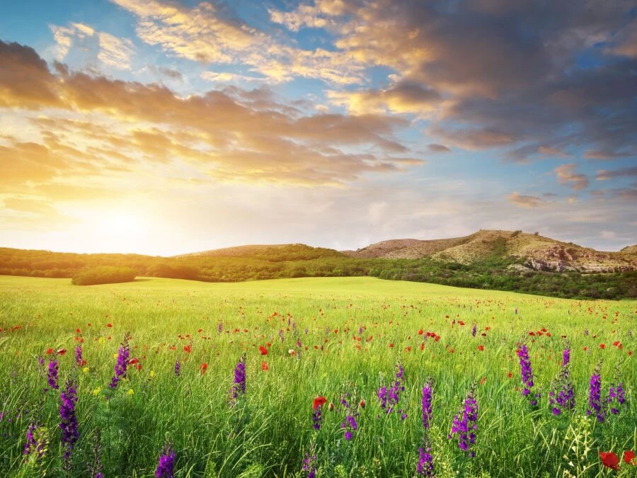 Jarní rovnodennost: Kdy začíná jaro a jak využít jeho energii