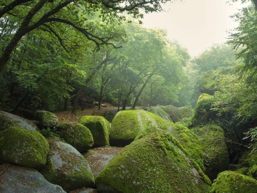 O uzlech, spirálách a skrytém řádu světa: keltské symboly a jejich význam
