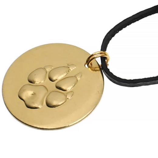 Anhänger Wolfsspur, Messing, mit Lederband