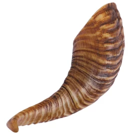 Genuine Natural Rams Horn (1pc)