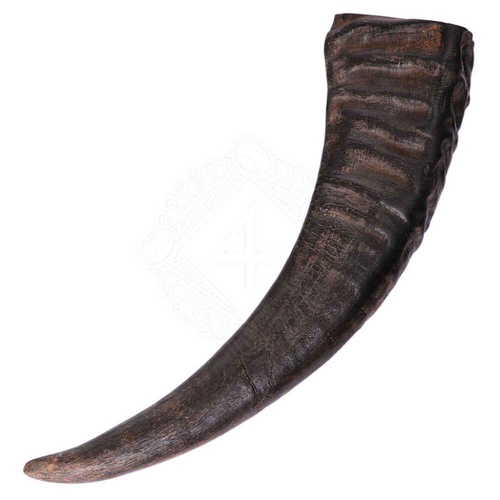 Büffelhorn Outfit4events