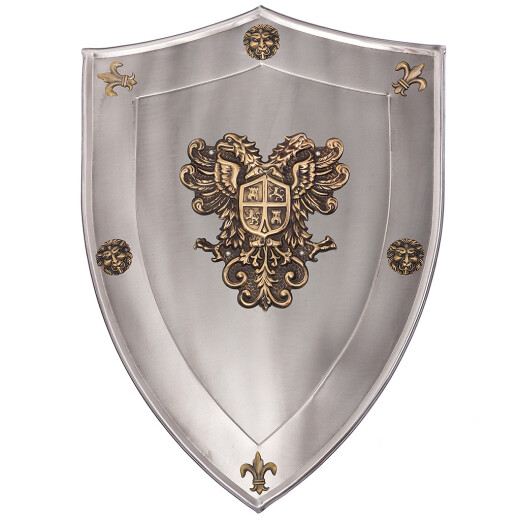 Rustic shield Carlos V