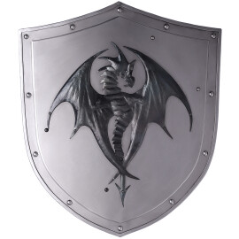 Combat shield with dragon