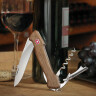 Swiss knife Wine Master