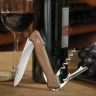 Švýcarský nůž Wine Master