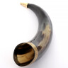 Drinking horn with a rounded brass tip