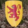 Shield of Robert the Bruce, painted wood