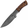 Knife with wooden shisham handle, Damascus steel blade