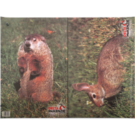 Wild target Woodchuck and Rabbit