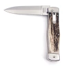 Vyhazovací nůž Predator Hammer 241-NP-1/