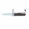Switchblade Predator knife 241-NP-3/KP