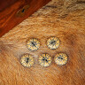 Round Medieval Horn Buttons, 5pcs