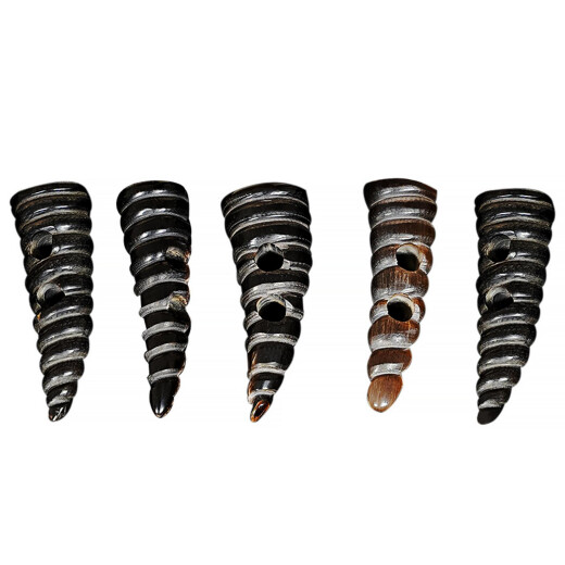 5cm Kegelknöpfe aus Horn mit Spiralmuster, 5er