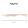 Mittelalterliches Messer mit Knochengriff, 19cm Edelstahl