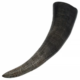 170ml Drinking Horn with Fine Scale Pattern
