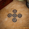 5pcs Loose Washers with antiqued Brass finish