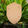 43x30cm Wooden Shield Blank