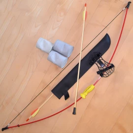 Can Shooting with Bow and Arrow