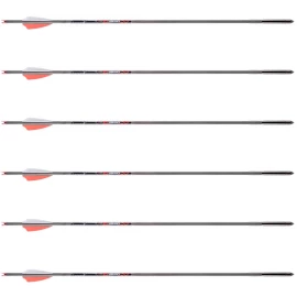 6er Pack AXE 19 Inch Carbon Crossbowbolts