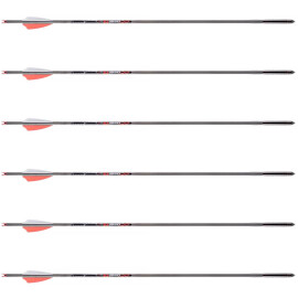 6er Pack AXE 19 Inch Carbon Crossbowbolts