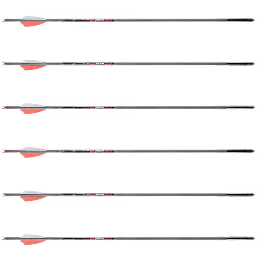 6er Pack AXE 18 Inch Carbon Crossbowbolts