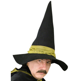 Wizard's hat