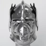 Falcon-head-helmet with a grotesque face