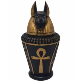 Kanopa, nádoba k uložení orgánů