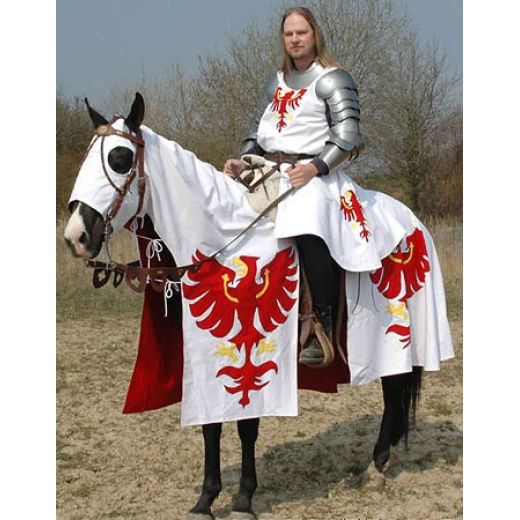 Schabracke Pferdedecke, Wappenrock und Fahne