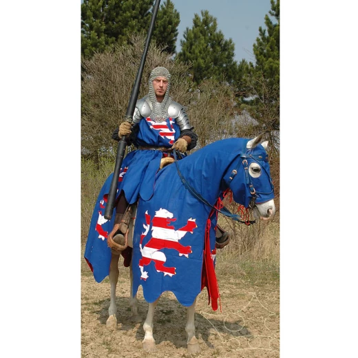 Horse trapper, knight surcoat and a banner