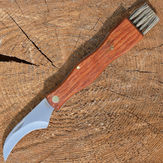 Mushroom knife Mr. Brown