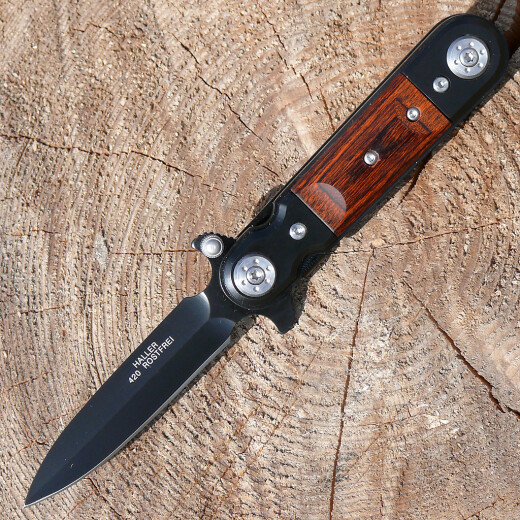 Pocketknife with spring supported blade oppening
