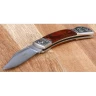 Elegant pocket knife
