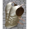 Roman anatomically formed breast and back plate of brass plate